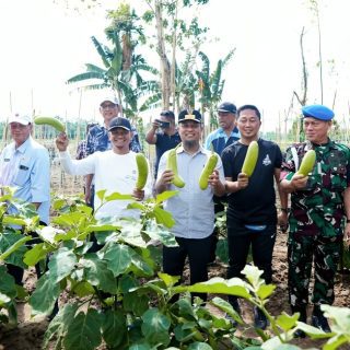 Dukung Program MBG, Gubernur Andi Sudirman Launching Kebun Hortikultura Terintegrasi di Bone