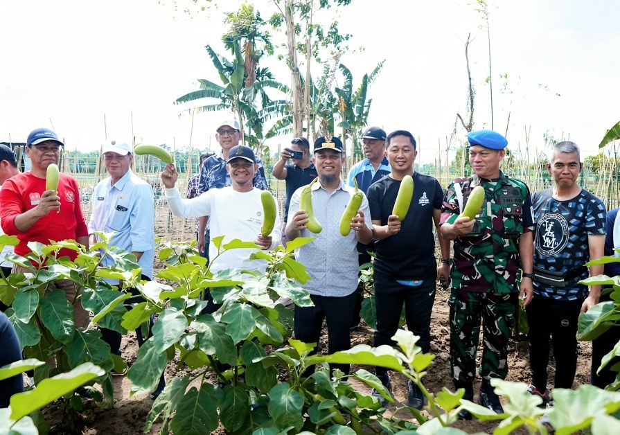 Dukung Program MBG, Gubernur Andi Sudirman Launching Kebun Hortikultura Terintegrasi di Bone