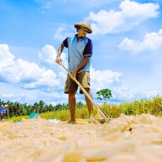 Kesejahteraan Petani Meningkat, NTP September 2025 Tembus 124,36