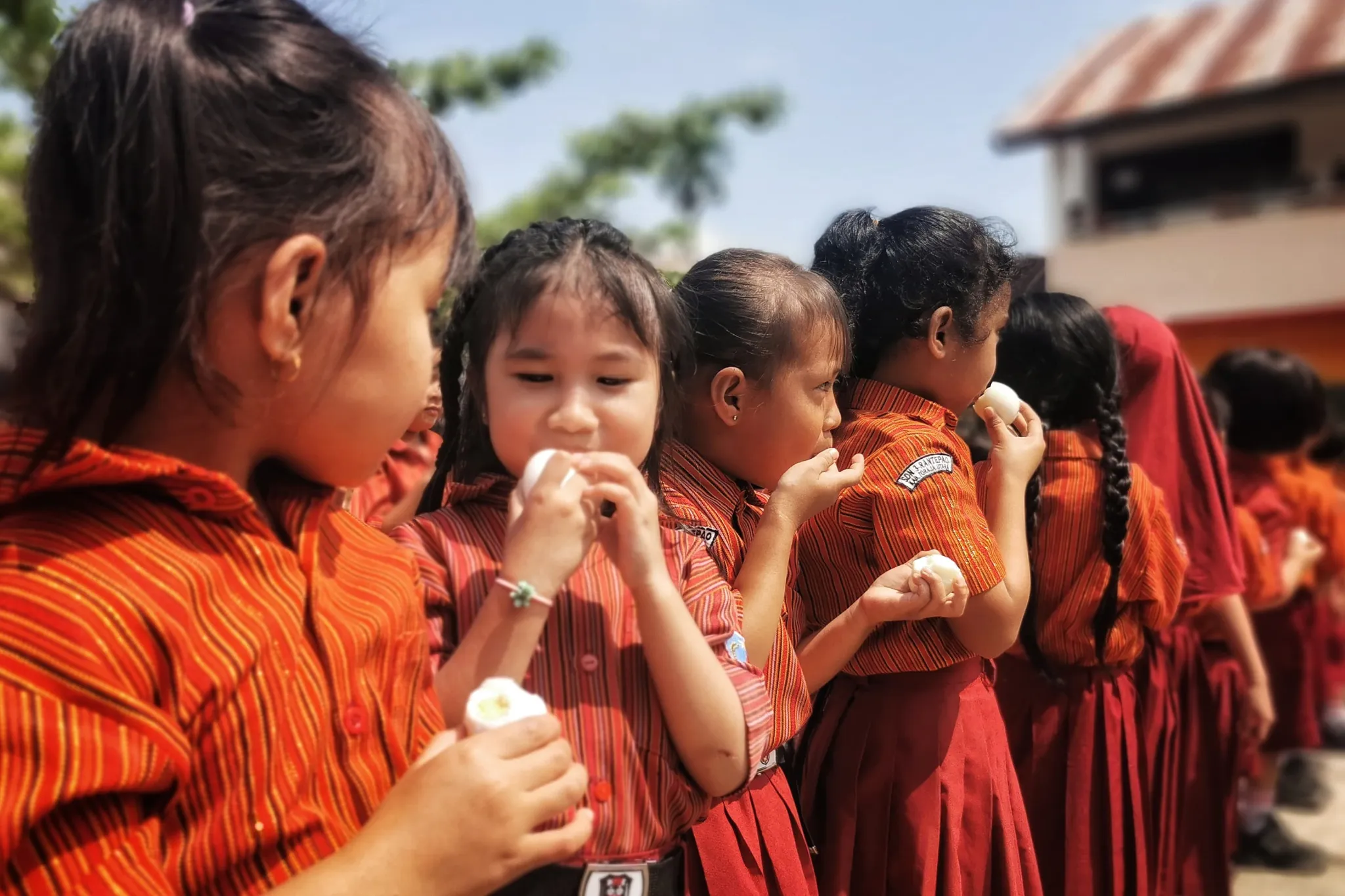 Gerakan Makan Telur Warnai Hari Jadi Sulsel, Murid SD di Toraja Utara Antusias 1 Gerakan Makan Telur Warnai Hari Jadi Sulsel, Murid SD di Toraja Utara Antusias