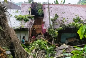 Pohon Tumbang Timpa Rumah Warga di Se’pon Makale, Tiga Orang Dilarikan ke Rumah Sakit