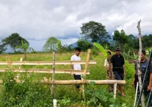 Lokasi Pembangunan Kantor Koperasi Merah Putih Polopadang Ditolak Warga, Lahan Dipagari