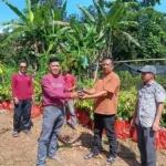 DLHK Sulsel Serahkan Puluhan Ribu Bibit MPTS di 22 Wilayah KPH, Dukung Program Prioritas Gubernur