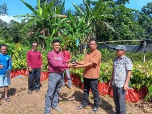 DLHK Sulsel Serahkan Puluhan Ribu Bibit MPTS di 22 Wilayah KPH, Dukung Program Prioritas Gubernur
