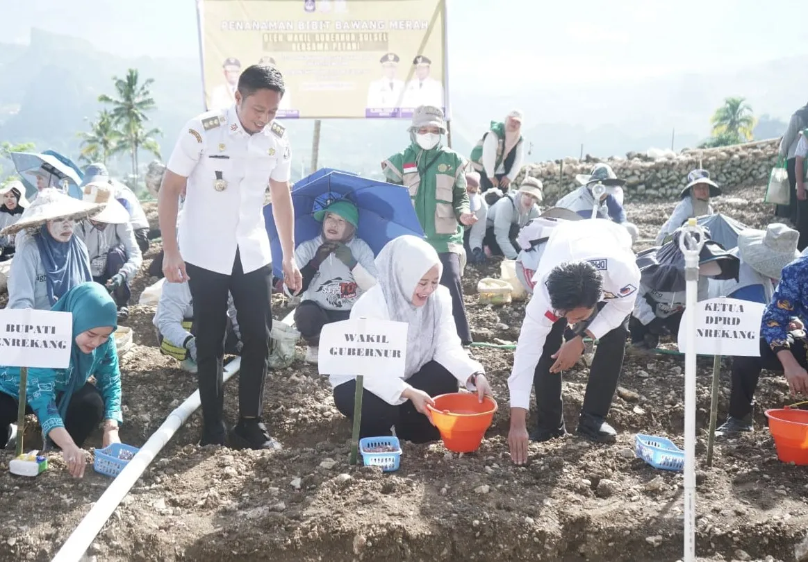 Wagub Sulsel Fatmawati Rusdi Kunjungi Enrekang, Dorong Penguatan Pertanian dan Penurunan Stunting