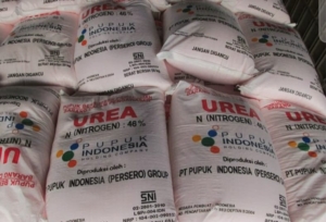 Pupuk Subsidi 2026 Lancar, 147 Transaksi Tercatat di Detik Pertama