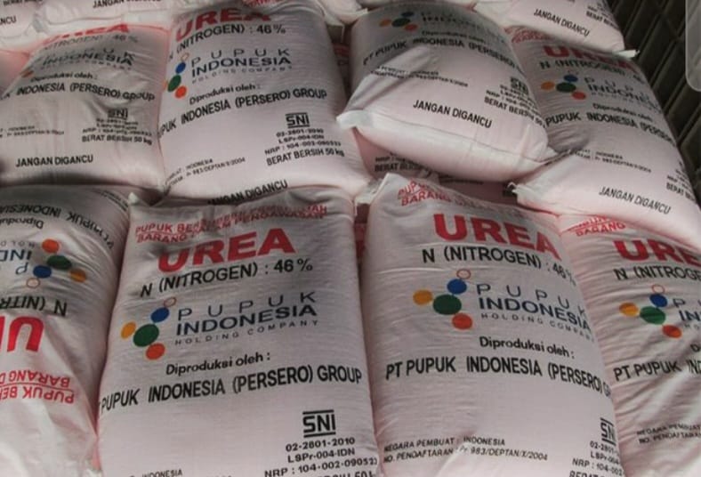 Pupuk Subsidi 2026 Lancar, 147 Transaksi Tercatat di Detik Pertama 1 Pupuk Subsidi 2026 Lancar, 147 Transaksi Tercatat di Detik Pertama