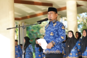 Pimpin HKN, Wali Kota Parepare Tasming Hamid Tekankan Disiplin ASN dan Sampaikan Kepastian Pembayaran TPP
