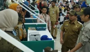 wali kota parepare