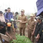 Bupati Enrekang Tanam Pakis Hutan dan Resmikan Eko Wisata Buntu Dama di Festival Hari Bumi