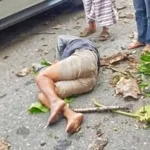Pemotor Tewas Tertimpa Pohon Tumbang di Kawasan Plaza Kolam Makale