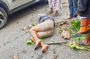 Pemotor Tewas Tertimpa Pohon Tumbang di Kawasan Plaza Kolam Makale