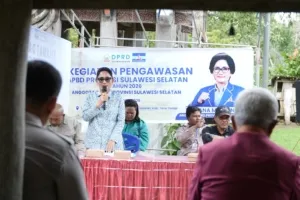 Yuniana Mulyana Kawal Program Mandiri Benih di Sangalla Selatan, Pastikan Bantuan Tepat Sasaran ke Petani
