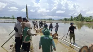 Perkuat Lumbung Pangan, Pinrang Pacu Optimalisasi Lahan Pertanian