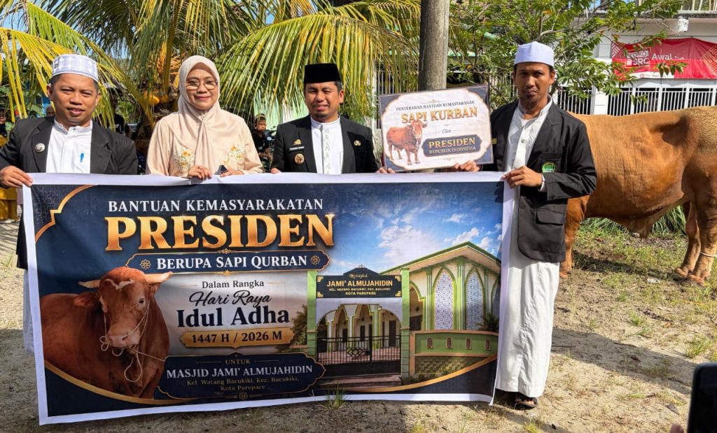 Warga Pelosok Parepare Rasakan Manfaat Sapi Kurban Presiden Prabowo 1 wali kota parepare