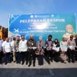 Fatmawati Rusdi Lepas Ekspor 10,2 Ton Kemiri Luwu ke Arab Saudi, Dorong UMKM Sulsel Tembus Pasar Global